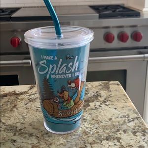 Splash mountain tumbler new Disney